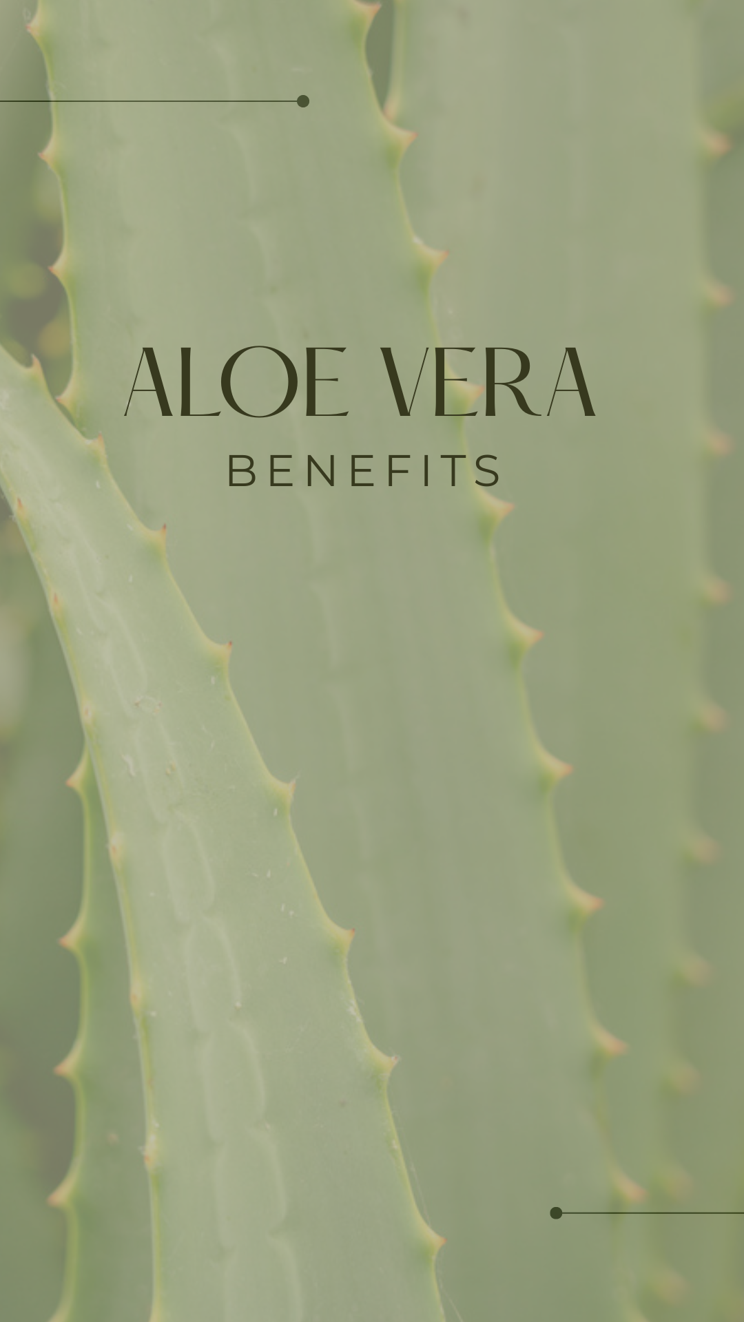 Moisturizing Aloe Vera Soap with Patchouli Essential Oil Bee for Dry Skin | Exfoliating | Antibacterial | Scar Fading | Soothing | Natural & Cruelty-Free