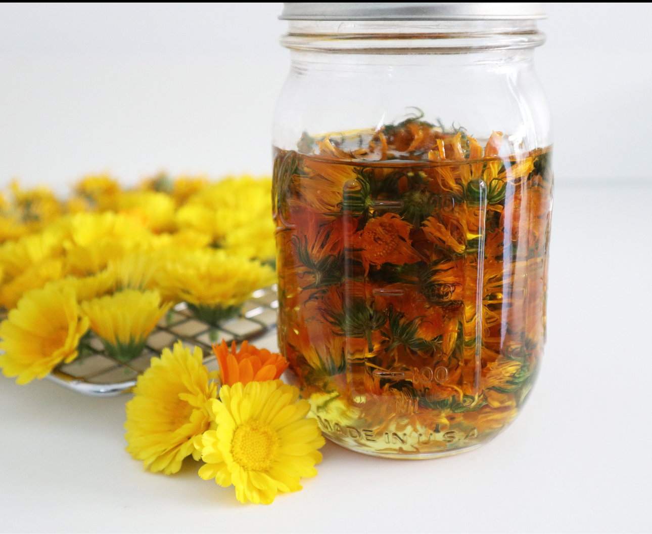 Caléndula & Lavender Salve ointment Treatment for skin.