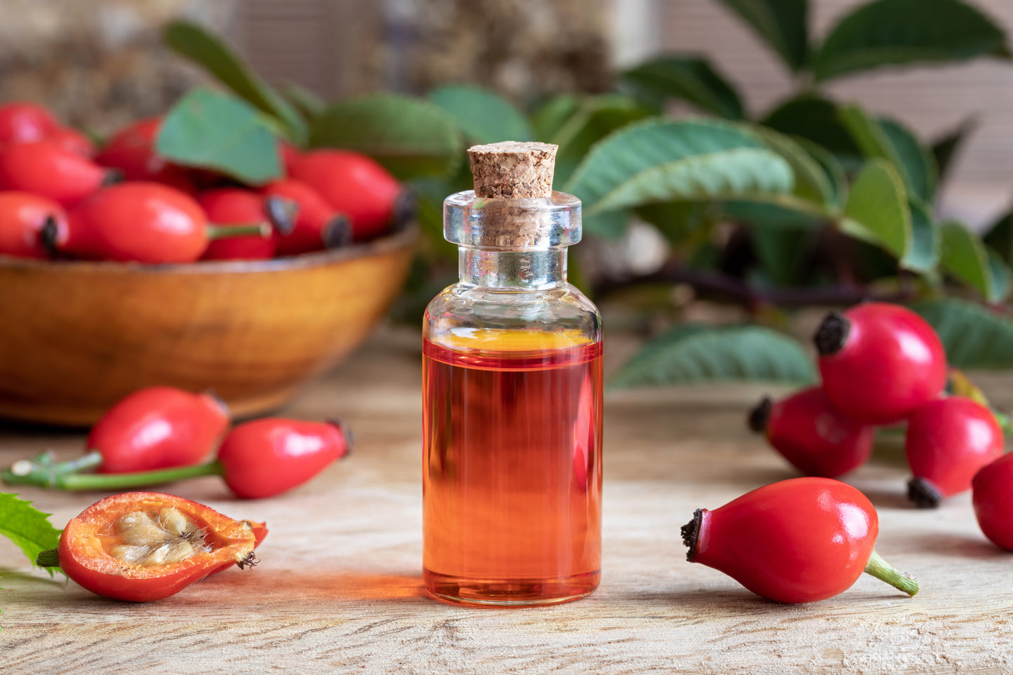 Tallow Rosehip