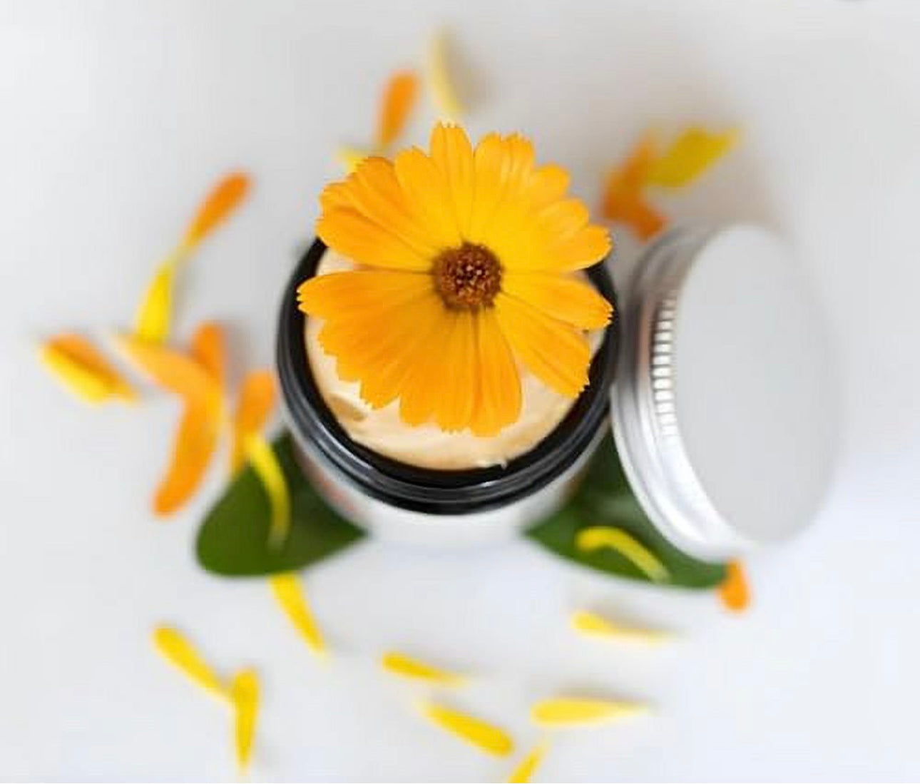 Calendula Hand Cream| For Preventing dry skin & Treating it | Anti aging & Antioxidant | Moisturizer | with essential oils Anti-Aging | Hand made Natural & Cruelty-Free Paraben Free Helps with Eczema ( Amber Glass Jar )