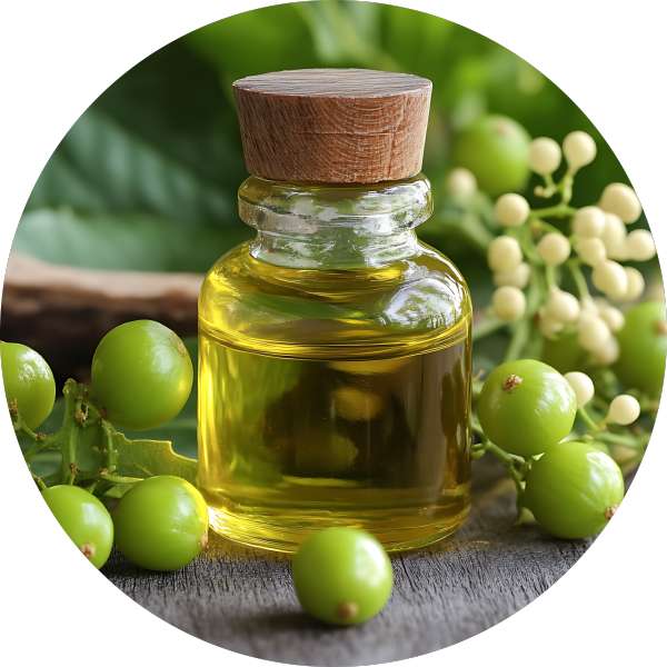 Anti-Aging Facial Serum / Glow Naturally | The most Moisturizing Facial Serum | 100% Doterra Certified Frankincense Pure Essential Oil | Free of Dyes,Fragrance - Hand made Natural & Cruelty-Free