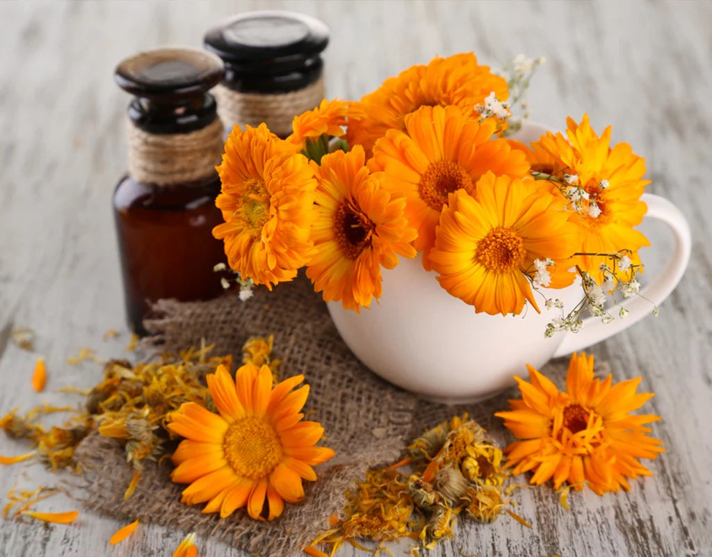 Calendula Hand Cream| For Preventing dry skin & Treating it | Anti aging & Antioxidant | Moisturizer | with essential oils Anti-Aging | Hand made Natural & Cruelty-Free Paraben Free Helps with Eczema ( Amber Glass Jar )