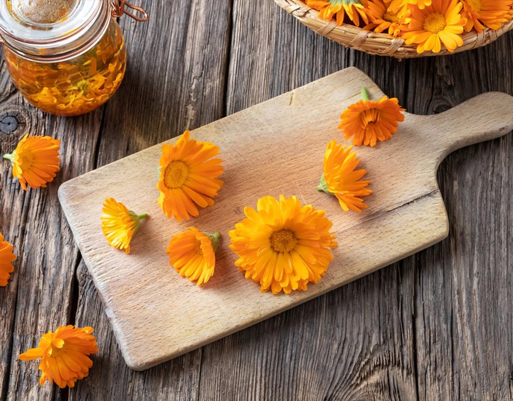 Calendula Hand Cream| For Preventing dry skin & Treating it | Anti aging & Antioxidant | Moisturizer | with essential oils Anti-Aging | Hand made Natural & Cruelty-Free Paraben Free Helps with Eczema ( Amber Glass Jar )